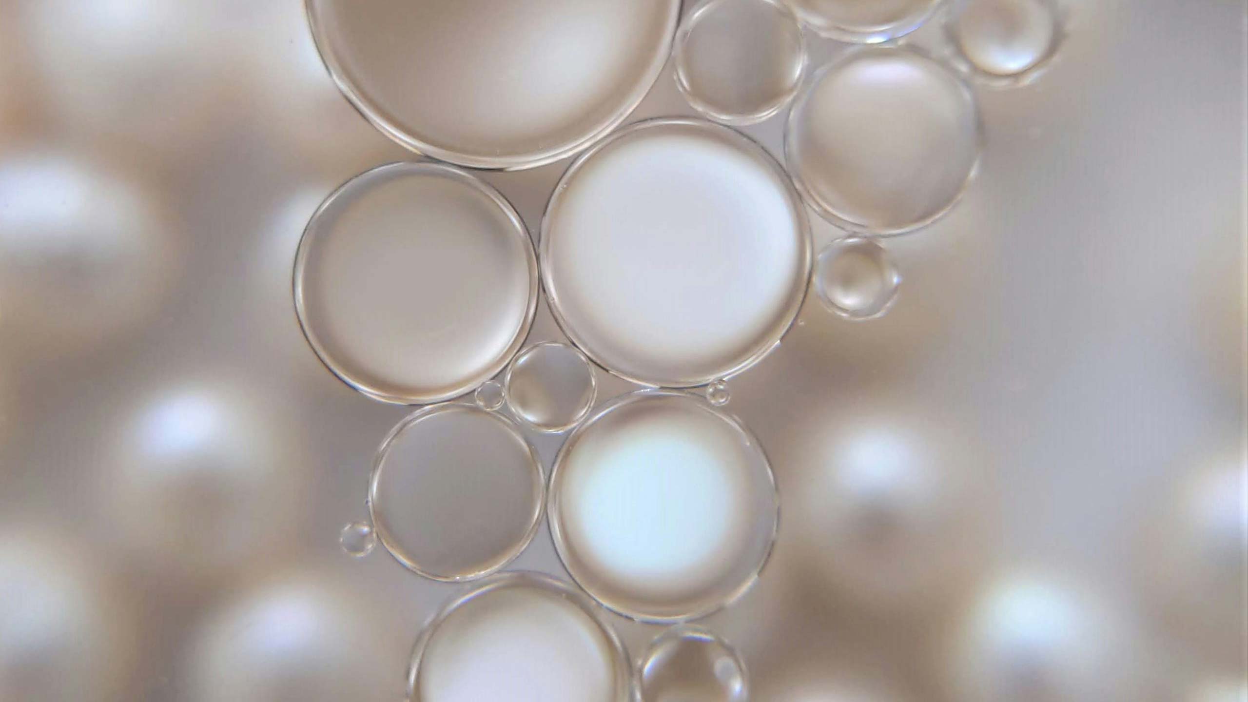 Pearl Rasierhobel