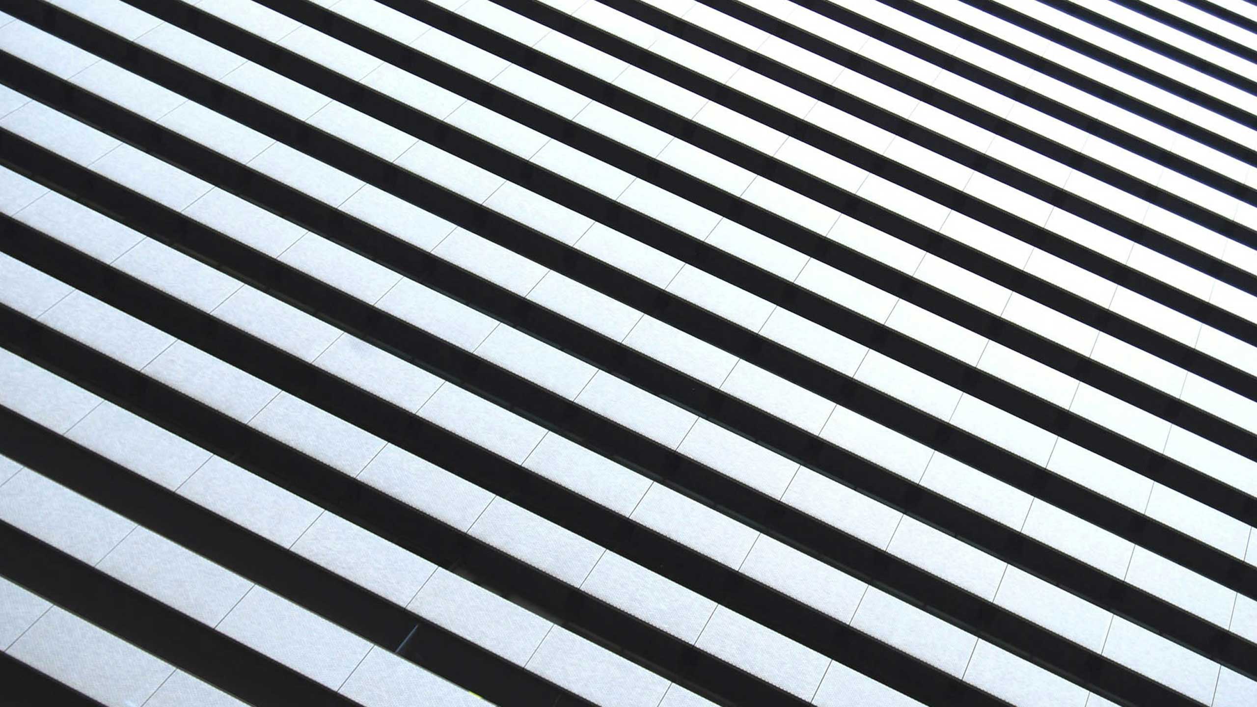 Schwarzweisskeramik Rasiermugs, Rasierschalen und Seifendeckel