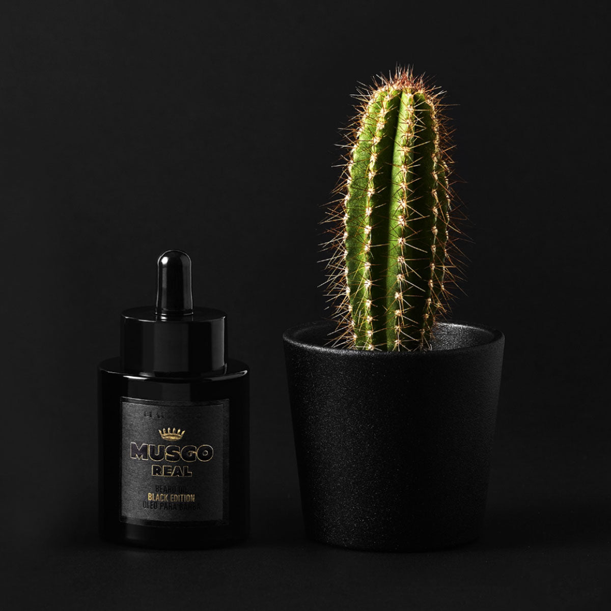 Musgo Real Bartöl aus der Black Edition mit natürlichen Wirkstoffen